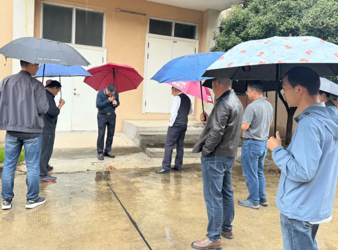 640 (1).webp (2).png